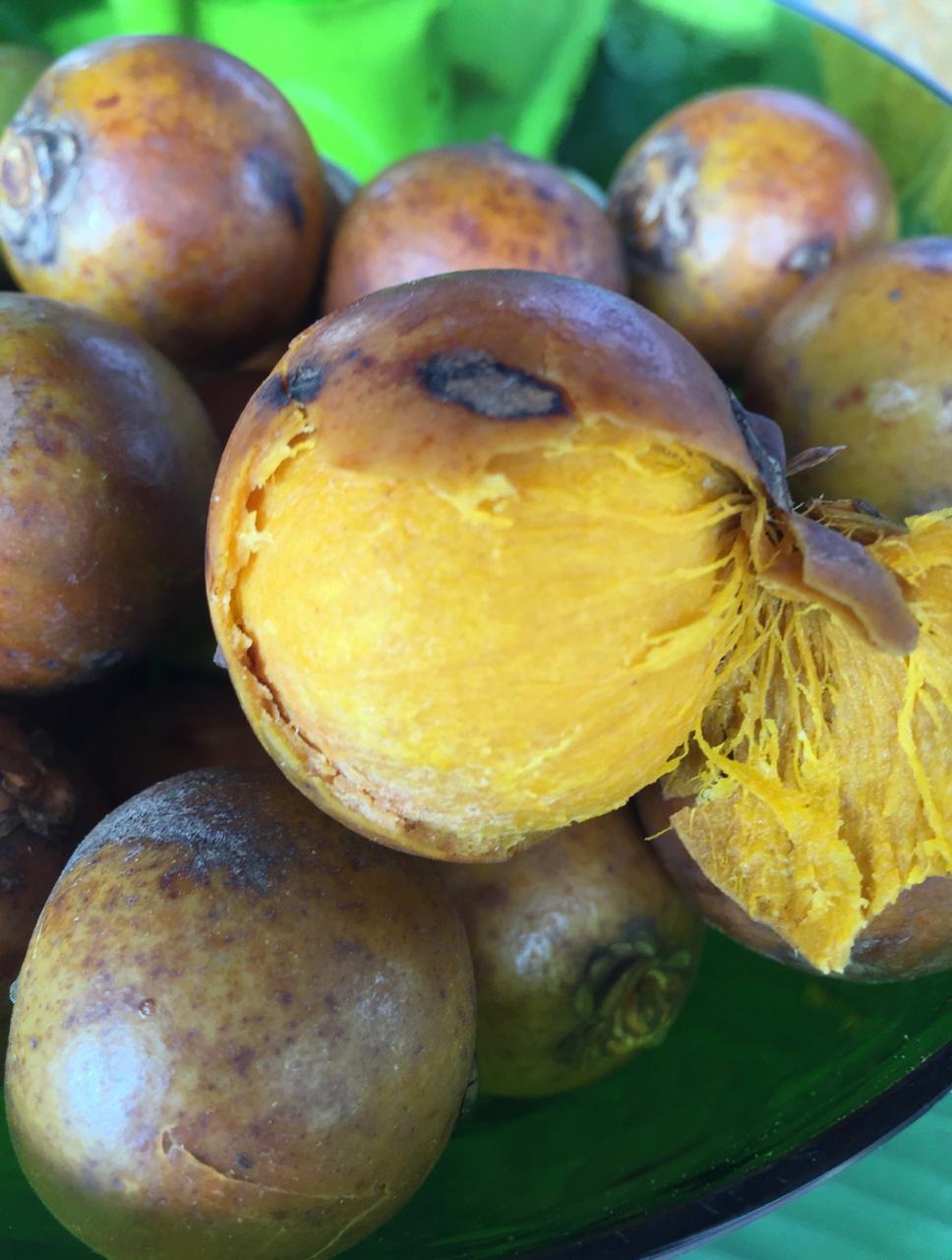 Do you know Bocaiuva? • Brasil Food Safaris • Brazilian native fruit