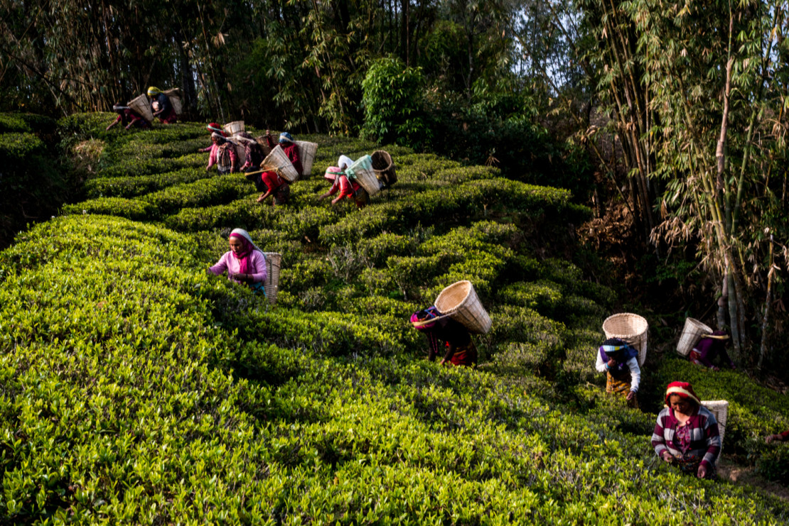 Food Safaris Nepal