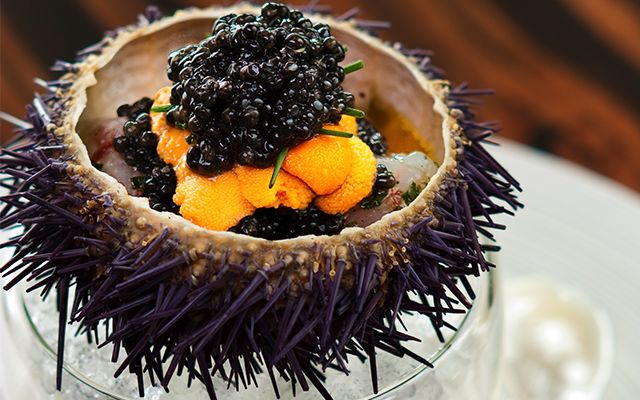 Food Safaris FLoripa Frutos do Mar